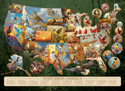 Puzzle 1000 el. Ptaki - symbole amerykańskich stanów