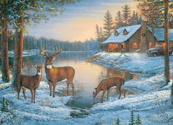 Puzzle 1000 el. Ciche miejsce
