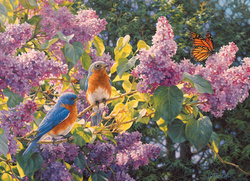 Puzzle 500 el. Wiosenna przerwa