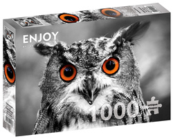 Puzzle 1000 el. Ciekawska sowa