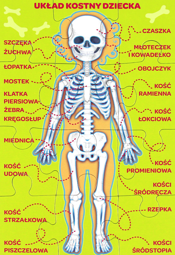 Mały Odkrywca - Moje ciało