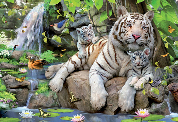 Puzzle 1000 el. Białe tygrysy bengalskie