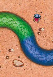 Serpentyna. Kolorowe węże.