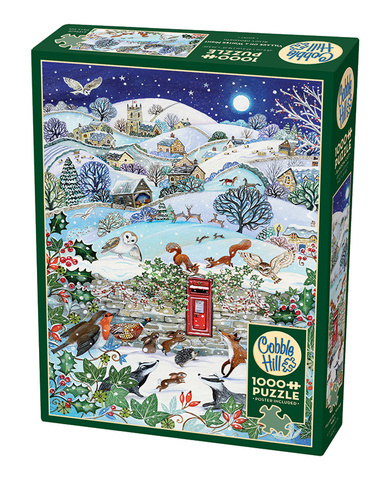 Puzzle 1000 el. Wieś zimową nocą