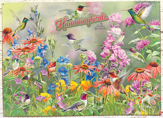 Puzzle 1000 el. Kolibry