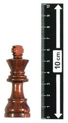 Zestaw magnetyczny Szachy / Backgammon (HG - 670040)