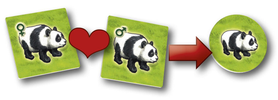 Zooloretto