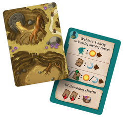 Everdell Duo (edycja polska)