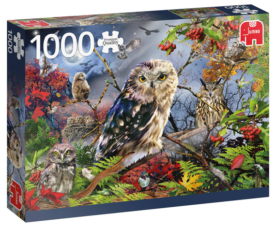 Puzzle 1000 el. PC Sowy w blasku księżyca OUTLET