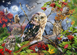 Puzzle 1000 el. PC Sowy w blasku księżyca OUTLET