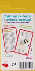 Karty edukacyjne - Quiz o świecie