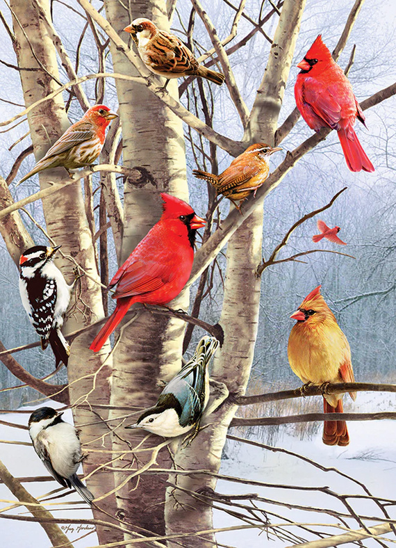 Puzzle 1000 el. Zimowe ptaki