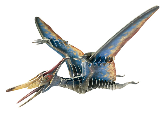 Puzzle 3D Dinozaury - Pteranodon 43 el.