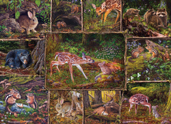 Puzzle 350 el. Drzwi do lasu