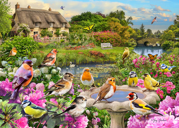 Puzzle 1000 el. Ptaki nad strumieniem
