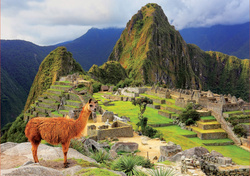 Puzzle 1000 el. Machu Picchu / Peru