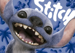 Puzzle 1000 el. Stich