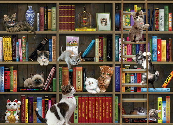 Puzzle 1000 el. Bibliokotkarze