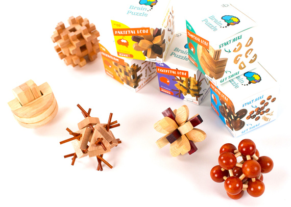 Brain Puzzle 4 - Occipital Lobe - łamigłówka Recent Toys - poziom 5/5