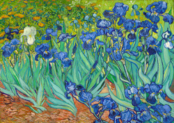 Puzzle 1000 el. Irysy, Vincent van Gogh