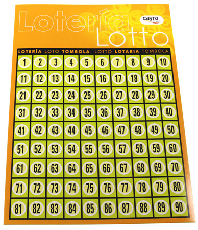 Bingo (Loteria Lotto) (748)