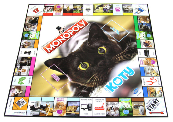 Monopoly Koty