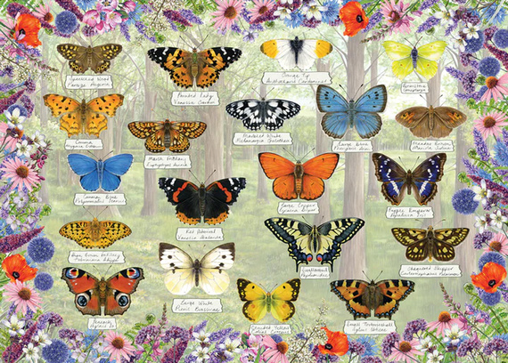 Puzzle 1000 el. Piękne motyle
