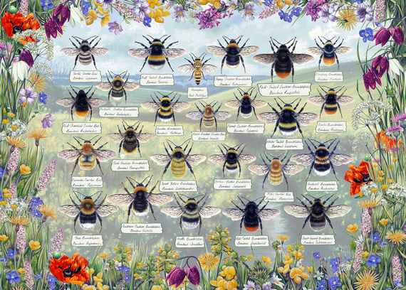 Puzzle 1000 el. Pszczoły