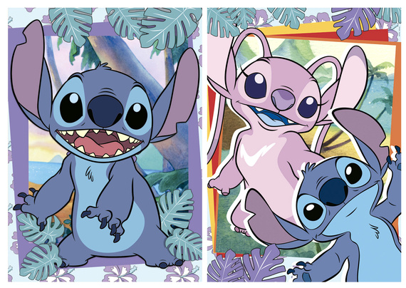 Puzzle 2 x 500 el. Stich