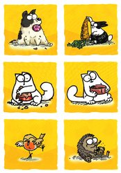 Kot Simona: Pora karmienia (Wielkanoc)