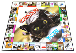 Monopoly Koty