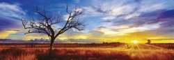 PQ Puzzle 1000 el. MARK GRAY Desert Oak / Australia (panorama)