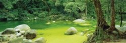 PQ Puzzle 1000 el. MARK GRAY Mossman Gorge / Australia (panorama)