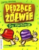 Pędzące żółwie: Gra karciana