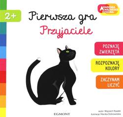 Pierwsza gra - Przyjaciele