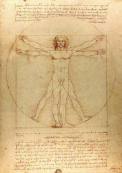 Puzzle 1000 el. Człowiek witruwiański, Leonardo da Vinci