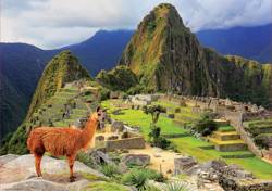 Puzzle 1000 el. Machu Picchu / Peru